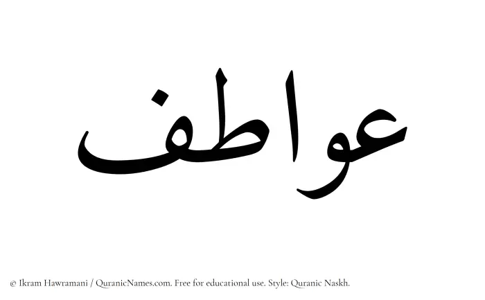 The Muslim name Awatif written in Quranic naskh script
