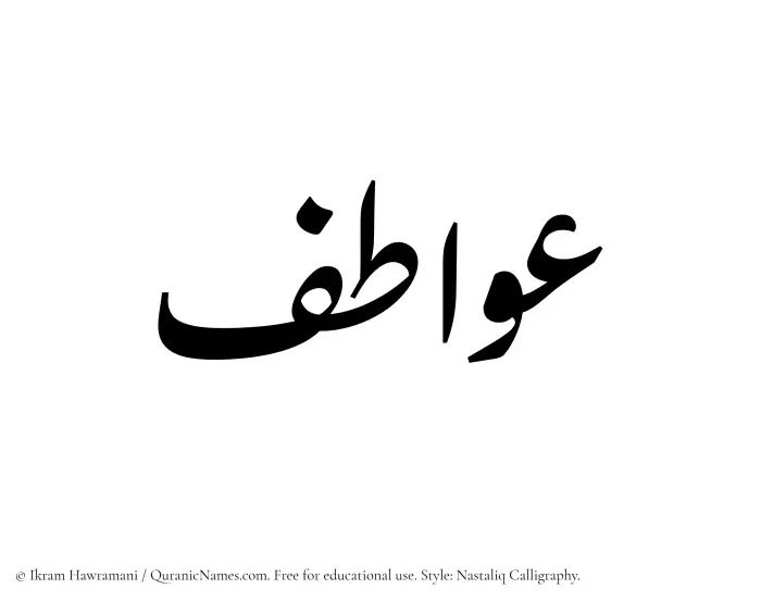 The Muslim name word Awatif written in Nastaliq calligraphic script