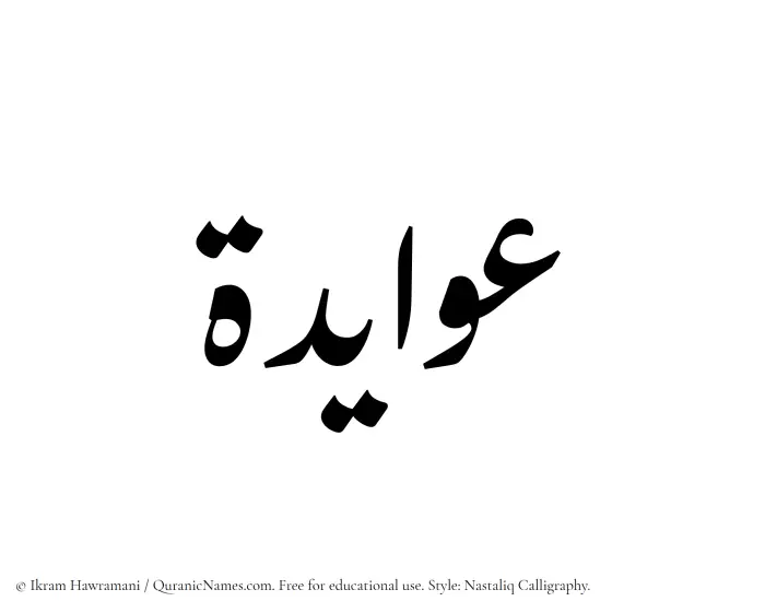 The Muslim name word Awayeda written in Nastaliq calligraphic script