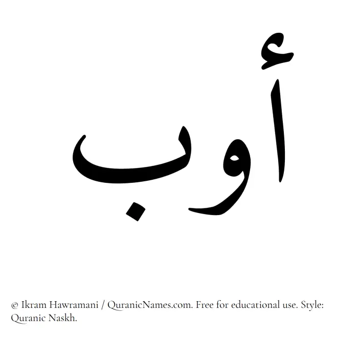 The Muslim name Awb written in Quranic naskh script
