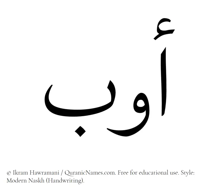 The Muslim name Awb written in naskh script