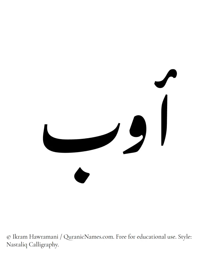 The Muslim name word Awb written in Nastaliq calligraphic script