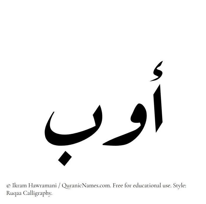 The Muslim name Awb written in Ruqaa calligraphic script
