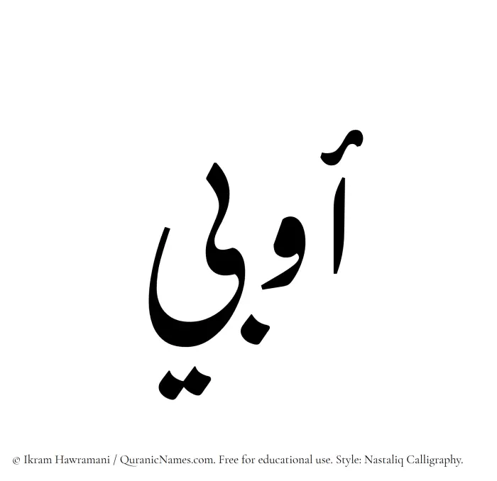 The Muslim name word Awbi written in Nastaliq calligraphic script