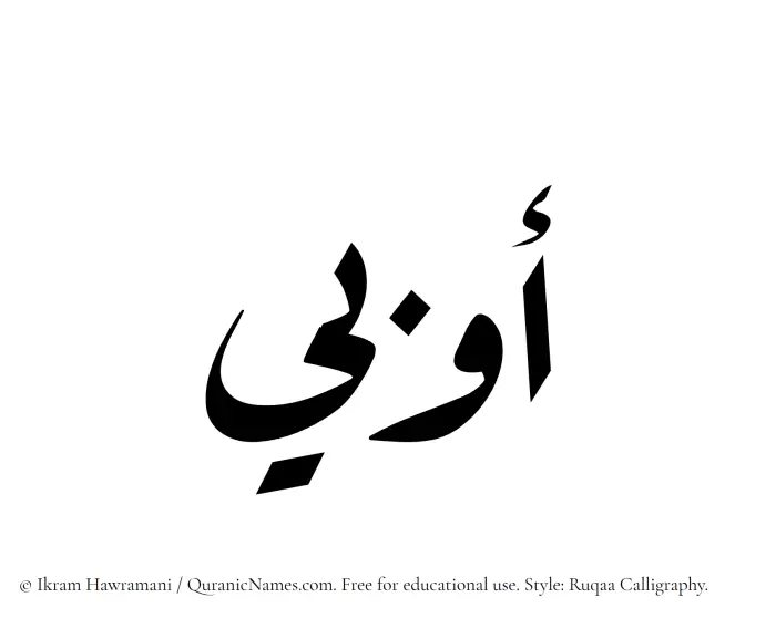 The Muslim name Awbi written in Ruqaa calligraphic script