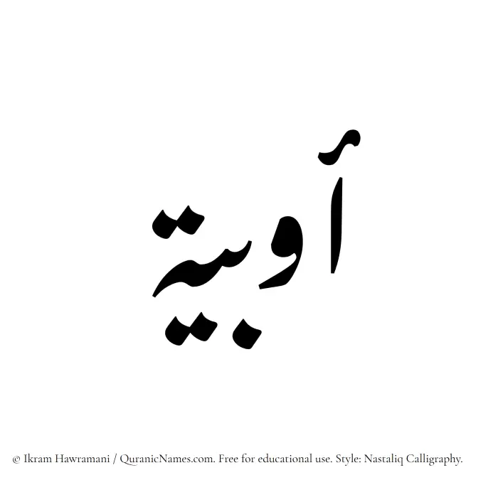 The Muslim name word Awbia written in Nastaliq calligraphic script