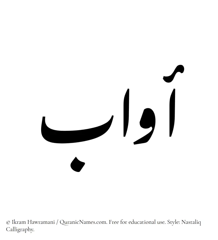 The Muslim name word Awwab written in Nastaliq calligraphic script