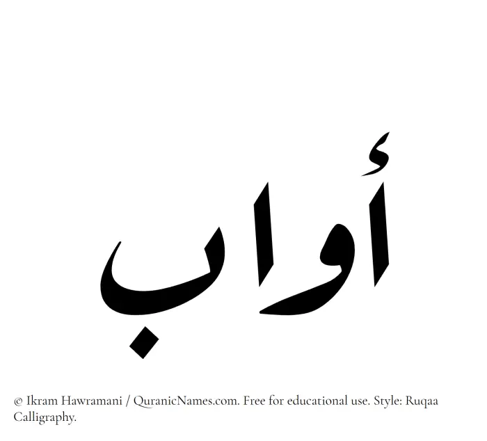 The Muslim name Awwab written in Ruqaa calligraphic script