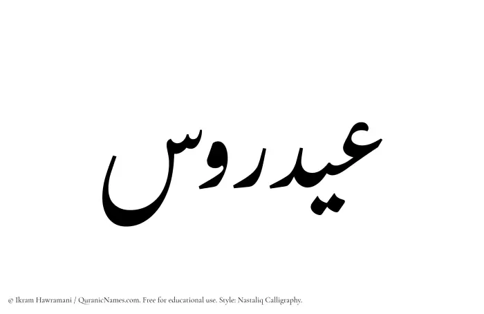 The Muslim name word Aydarus written in Nastaliq calligraphic script