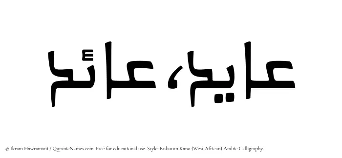 The Muslim name Ayed written in Rubutun Kano calligraphic script