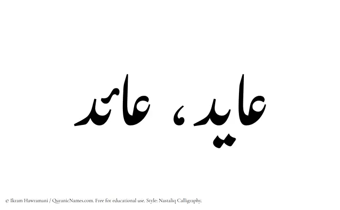 The Muslim name word Ayed written in Nastaliq calligraphic script