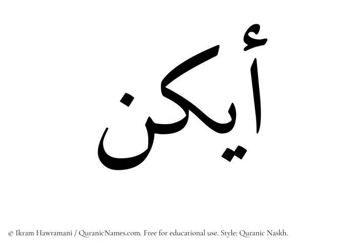 The Muslim name Aykon written in Quranic naskh script