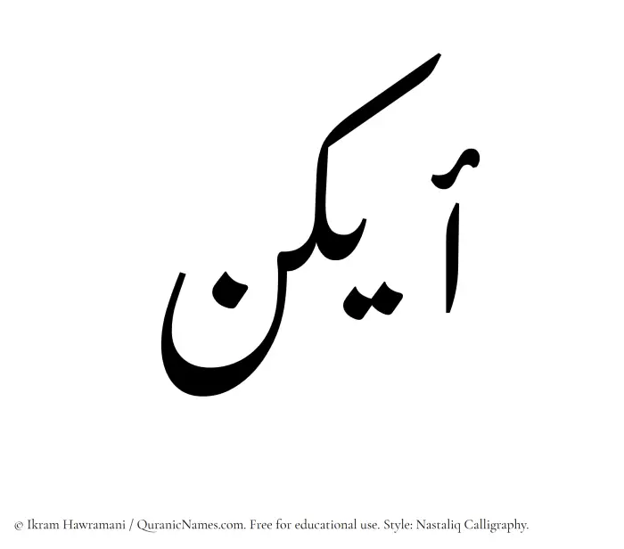 The Muslim name word Aykon written in Nastaliq calligraphic script