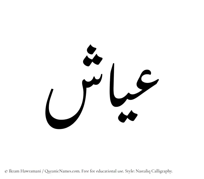 The Muslim name word Ayyash written in Nastaliq calligraphic script