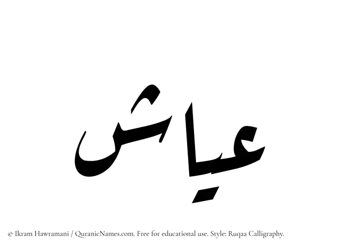 The Muslim name Ayyash written in Ruqaa calligraphic script