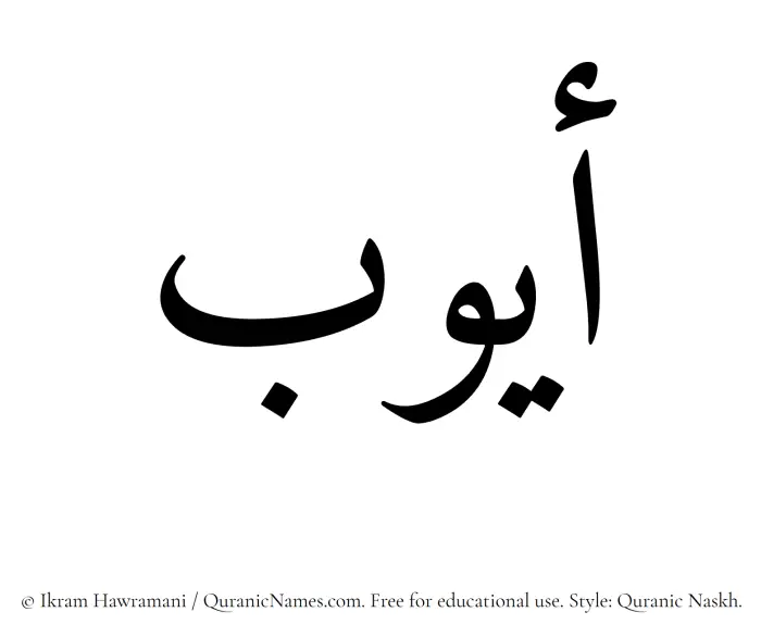 The Muslim name Ayyub written in Quranic naskh script