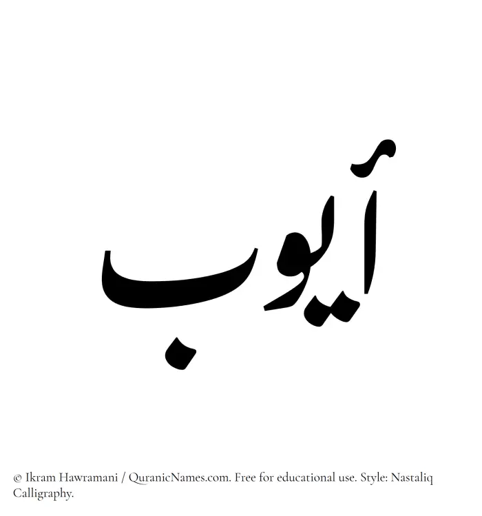 The Muslim name word Ayyub written in Nastaliq calligraphic script