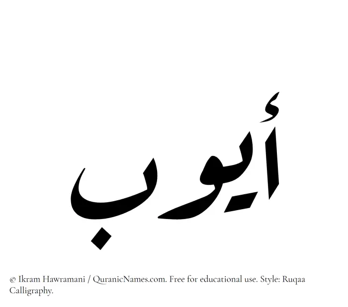 The Muslim name Ayyub written in Ruqaa calligraphic script