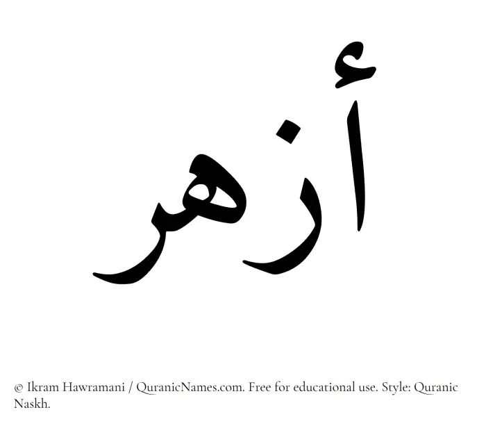 The Muslim name Azhar written in Quranic naskh script