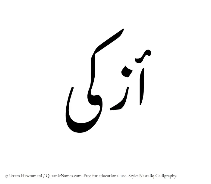 The Muslim name word Azka written in Nastaliq calligraphic script