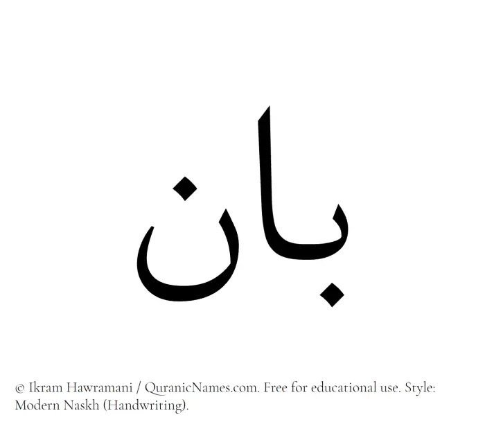 The Muslim name Baan written in naskh script