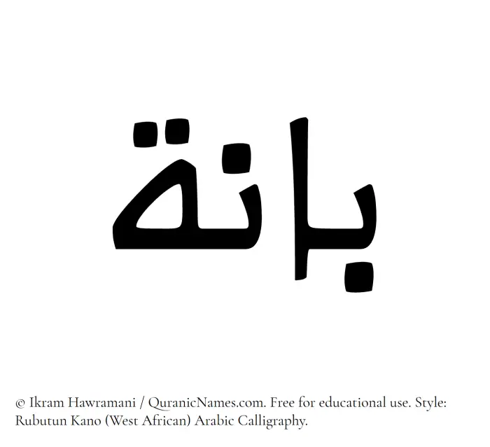 The Muslim name Baanah written in Rubutun Kano calligraphic script