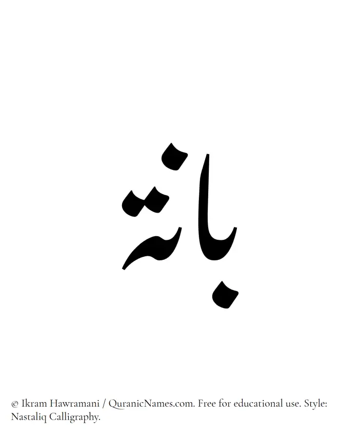 The Muslim name word Baanah written in Nastaliq calligraphic script