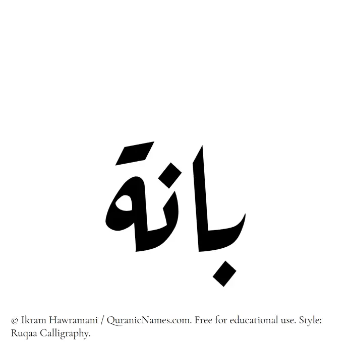 The Muslim name Baanah written in Ruqaa calligraphic script