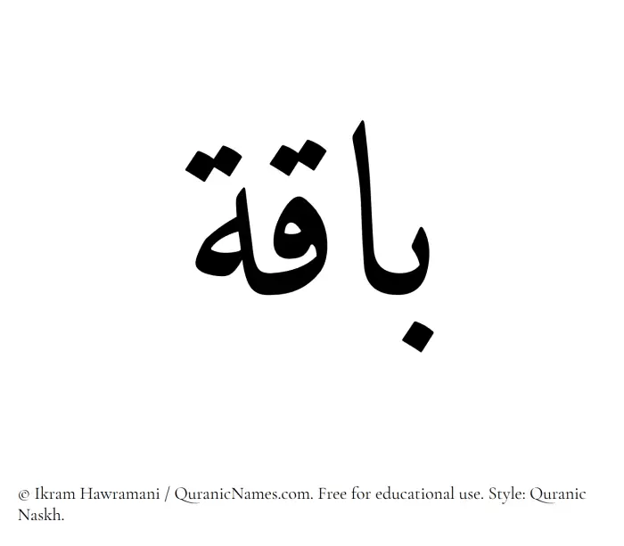 The Muslim name Baaqa written in Quranic naskh script