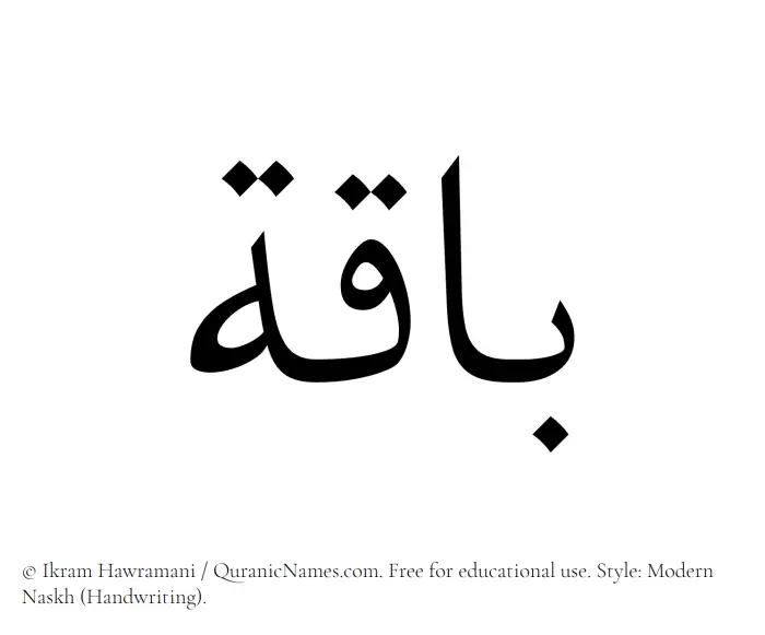The Muslim name Baaqa written in naskh script