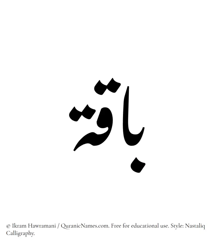 The Muslim name word Baaqa written in Nastaliq calligraphic script
