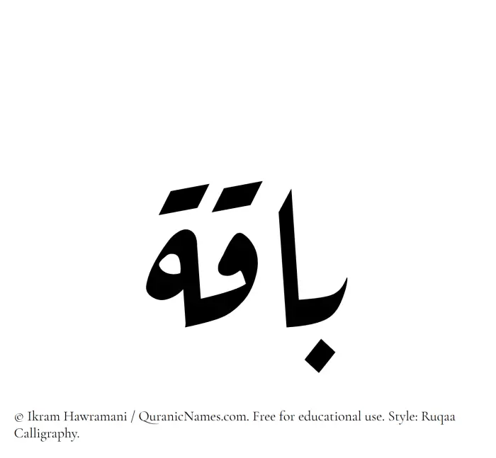 The Muslim name Baaqa written in Ruqaa calligraphic script