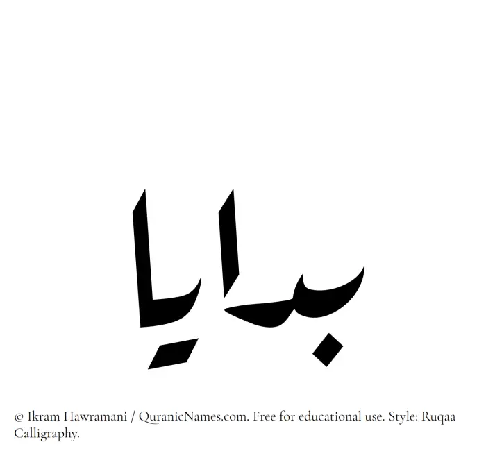The Muslim name Badaya written in Ruqaa calligraphic script
