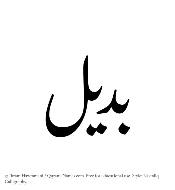 The Muslim name word Badeel written in Nastaliq calligraphic script