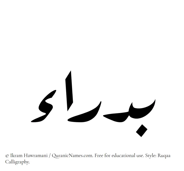 The Muslim name Badra written in Ruqaa calligraphic script