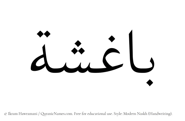 The Muslim name Baghisha written in naskh script