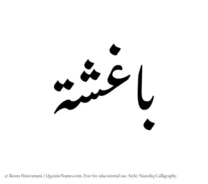 The Muslim name word Baghisha written in Nastaliq calligraphic script