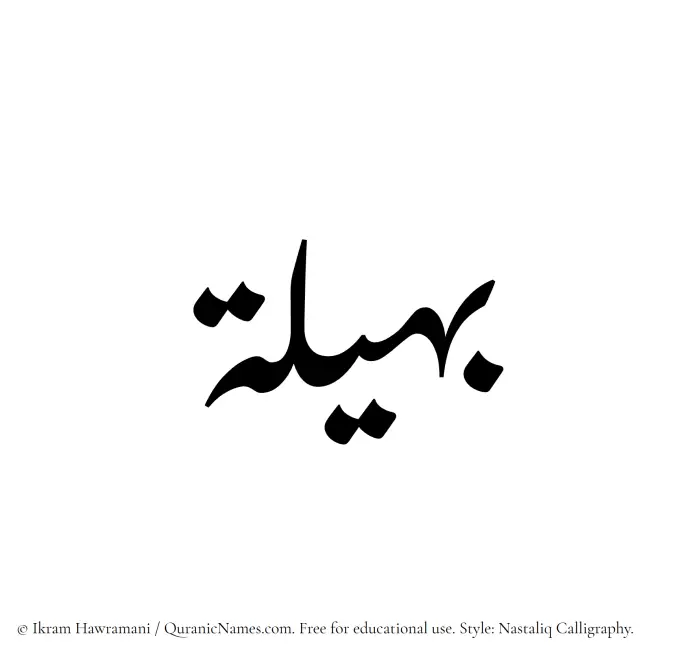The Muslim name word Baheela written in Nastaliq calligraphic script