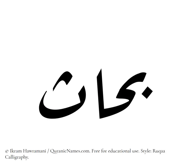 The Muslim name Bahhas written in Ruqaa calligraphic script