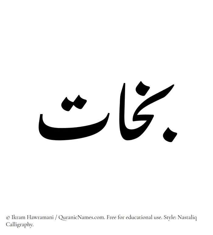 The Muslim name word Bakhat written in Nastaliq calligraphic script