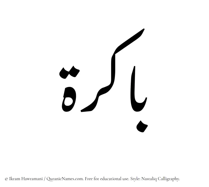 The Muslim name word Bakira written in Nastaliq calligraphic script