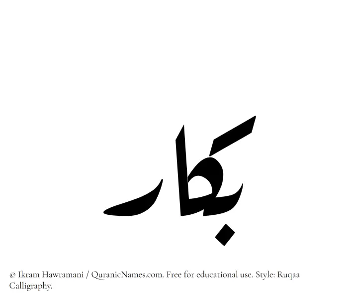The Muslim name Bakkar written in Ruqaa calligraphic script