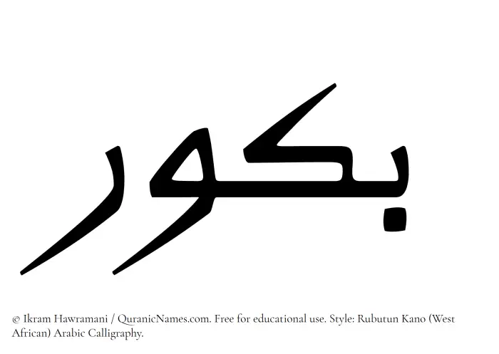 The Muslim name Bakkur written in Rubutun Kano calligraphic script