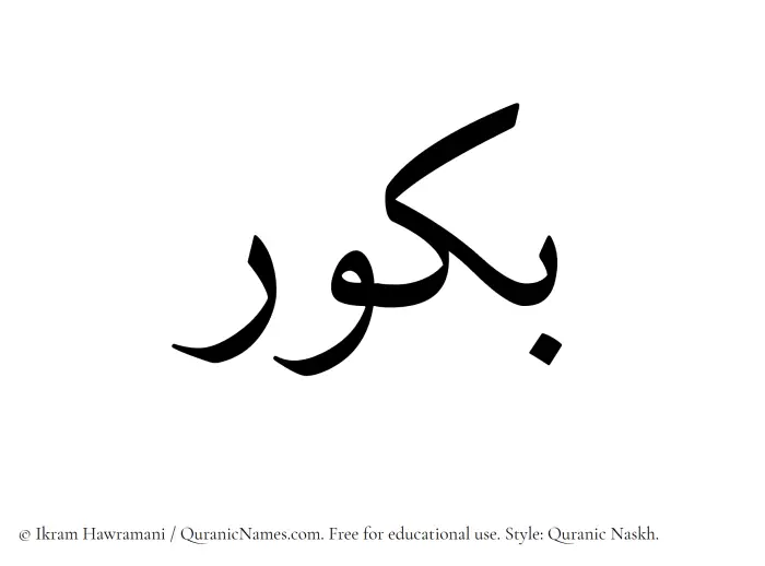 The Muslim name Bakkur written in Quranic naskh script