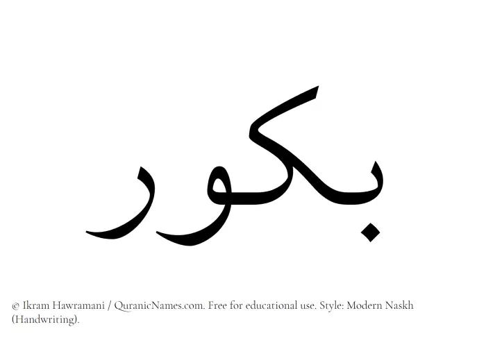 The Muslim name Bakkur written in naskh script