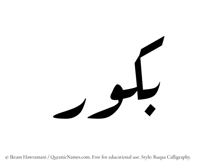 The Muslim name Bakkur written in Ruqaa calligraphic script
