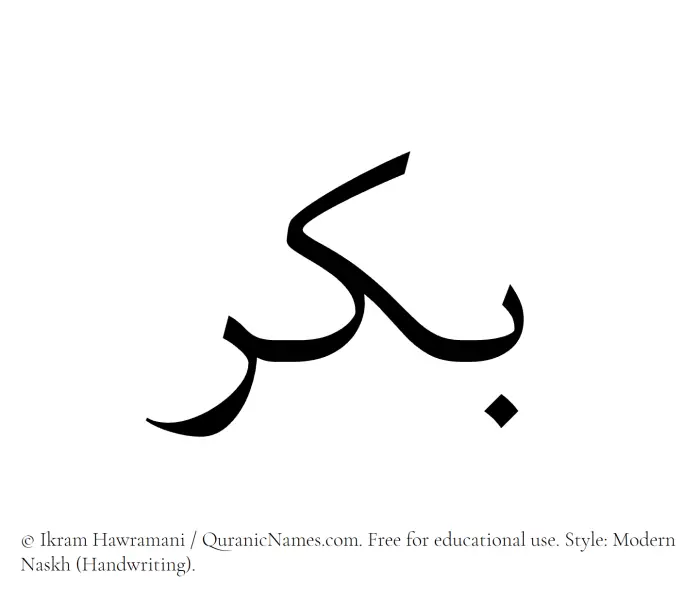 The Muslim name Bakr written in naskh script