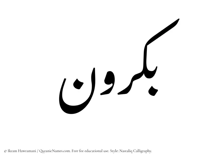 The Muslim name word Bakrun written in Nastaliq calligraphic script