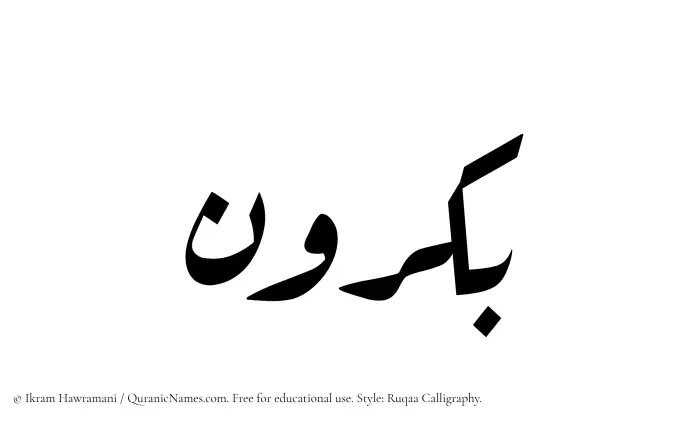 The Muslim name Bakrun written in Ruqaa calligraphic script