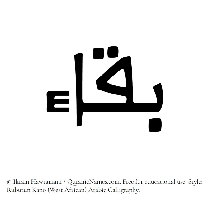 The Muslim name Baqa written in Rubutun Kano calligraphic script